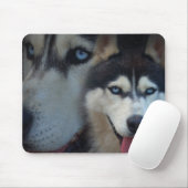 Alaskischer Schlitten-Hund - Schlittenhund Mousepad (Mit Mouse)