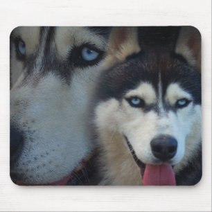 Alaskischer Schlitten-Hund - Schlittenhund Mousepad