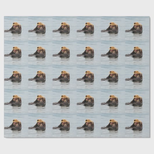 Alaskischer Seeotter Geschenkpapier (Flach)