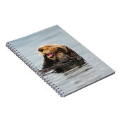 Alaskischer Seeotter Notizblock (Rechte Seite)