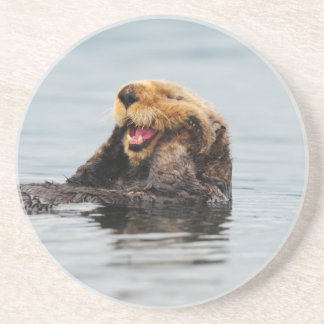 Alaskischer Seeotter Sandstein Untersetzer