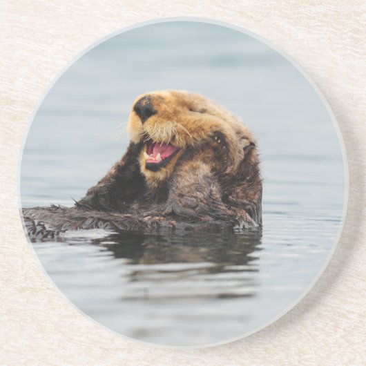 Alaskischer Seeotter Sandstein Untersetzer (Vorne)