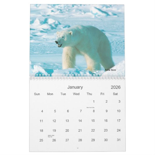 Alaskischer Tier-Kalender Kalender (Jan 2026)