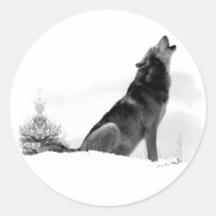 Alaskischer Timberwolf-Aufkleber Runder Aufkleber
