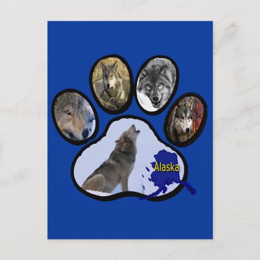 Alaskischer Wolf-Tatzen-Druck Postkarte (Vorderseite)