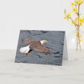 Alaskisches Eagle Karte (Gelbe Blume)