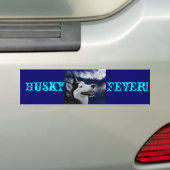 Alaskisches Huskys Autoaufkleber (Auf Auto)