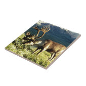 Alaskisches Karibu Fliese (Seite)