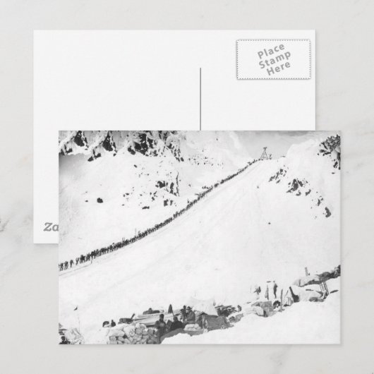 Alaskisches Klondikers Postkarte (Vorne/Hinten)