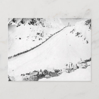 Alaskisches Klondikers Postkarte