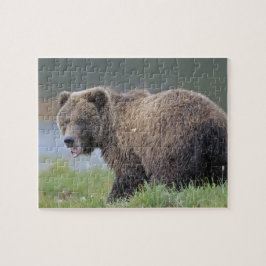 Alaskisches Tier-Foto Brown-Bärn-(Ursus arctos) Puzzle