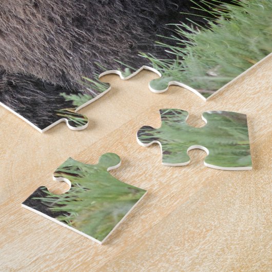 Alaskisches Tier-Foto Brown-Bärn-(Ursus arctos) Puzzle (Seite)
