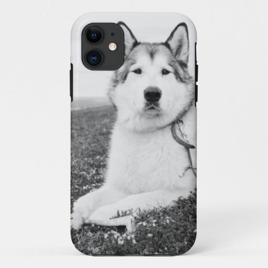 AlaskischMalamute bw.png Case-Mate iPhone Hülle (Rückseite)