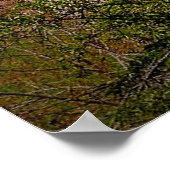 Albacete, Spanien, Stadtbild, Poster (Ecke)