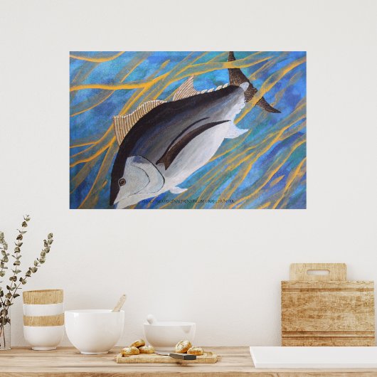 Albacore Poster (Küche)