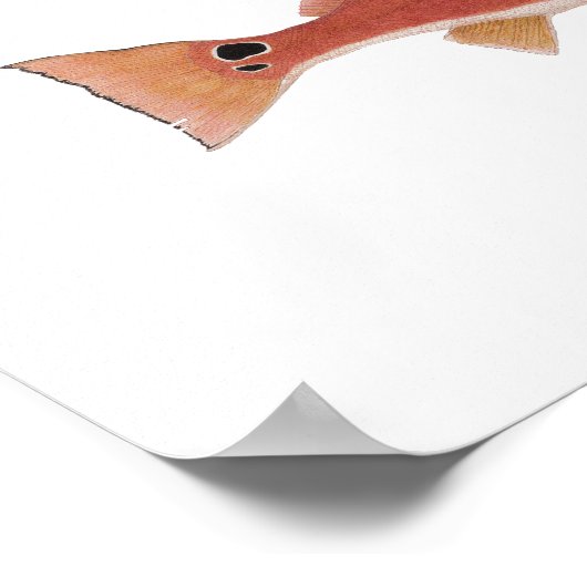 Albacore & Redfish Artwork Poster (Ecke)