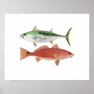 Albacore & Redfish Artwork Poster