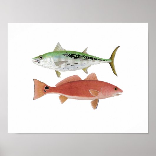 Albacore & Redfish Artwork Poster (Vorne)