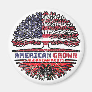 Albanien Albanien USA USA Vereinigte Staaten Magnet