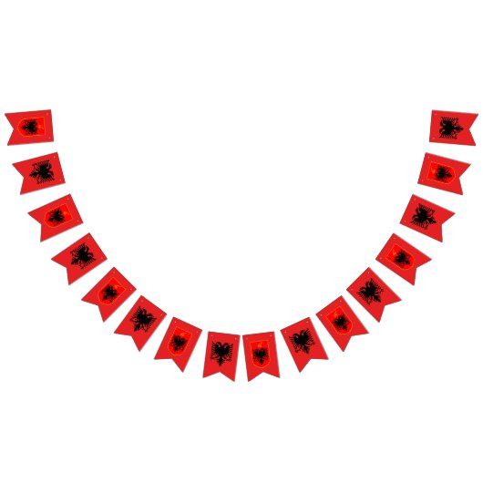 Albanien - Banner, albanisches Party für Flaggen / (Alle)