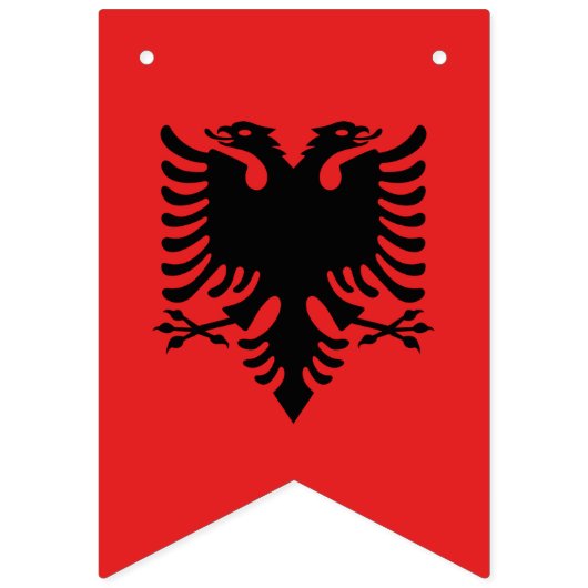 Albanien - Banner, albanisches Party für Flaggen / (Zweite Fahne)