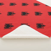 Albanien Sherpadecke (3/4)