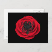Albanische Rose-Flagge Postkarte (Vorne/Hinten)