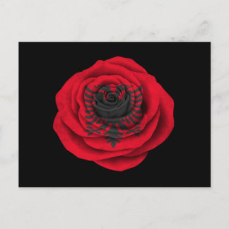 Albanische Rose-Flagge Postkarte