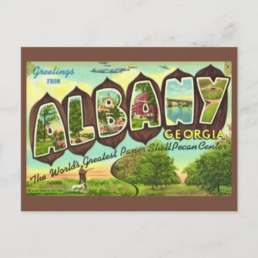 Albany Georgia Vintage-Ansichtskarte Postkarte (Vorderseite)