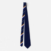 Albany (New York) Stadtflagge Neck Tie Krawatte (Rückseite)