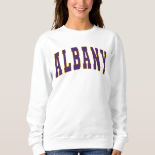 Albany New York Vintag Uni Style Sweatshirt
