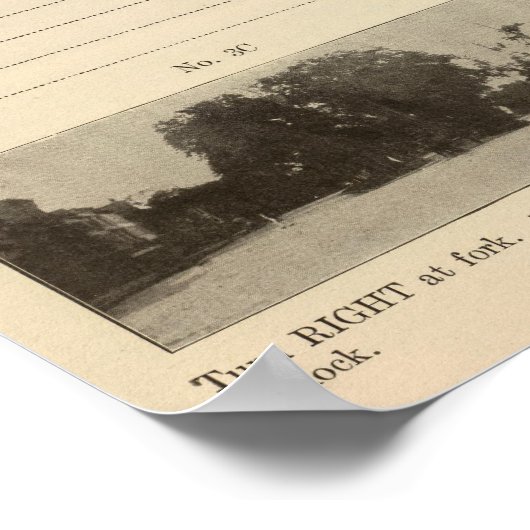 Albany, NY Poster (Ecke)