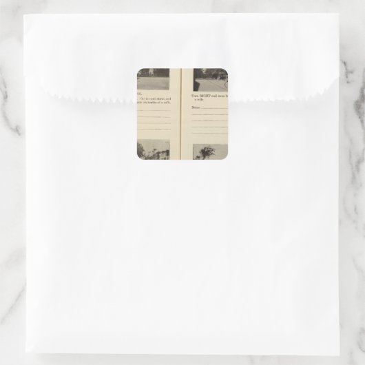 Albany, NY Quadratischer Aufkleber (Tasche)