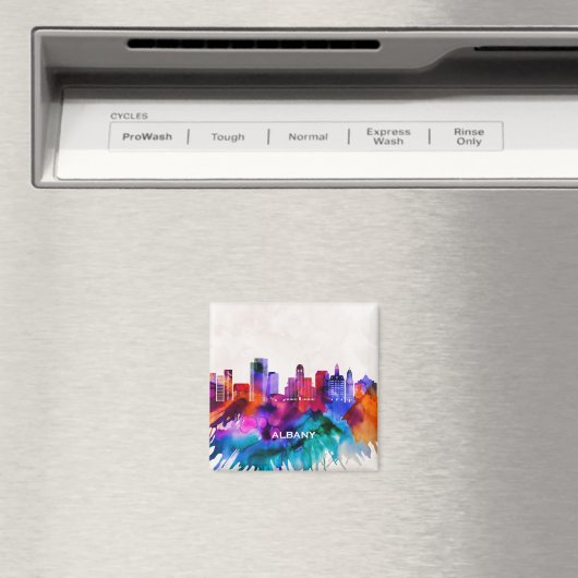 Albany Skyline Magnet (In Situ (Geschirrspüler))