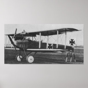Albatros C.I Poster