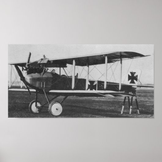 Albatros C.I Poster (Vorne)