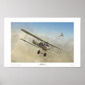 Albatros C.III Poster (Vorne)