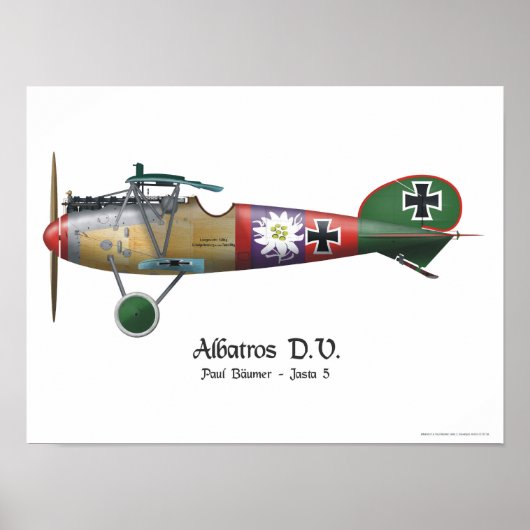 Albatros D.V. ww1 German Fighter Flugzeug Bäumer Poster (Vorne)