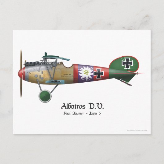 Albatros D.V. ww1 German Fighter Flugzeug Bäumer Postkarte (Vorderseite)