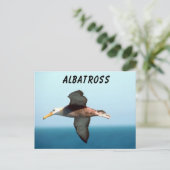 Albatross Flying Postkarte (Stehend Vorderseite)