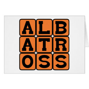 Albatross, großer Seevögel