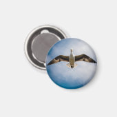 Albatross Magnet (Vorderseite/Rückseite)