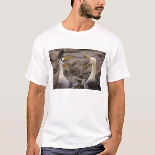Albatross Phoebastria irrorata) T-Shirt (Vorderseite)