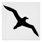 Albatross Poster (Vorderseite)