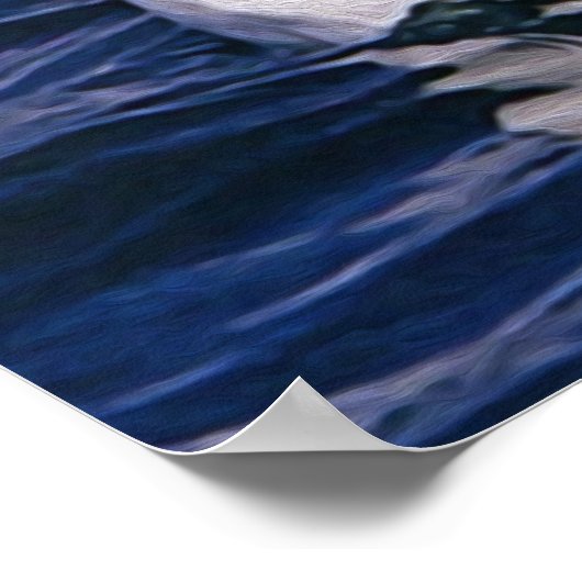 Albatross Poster (Ecke)