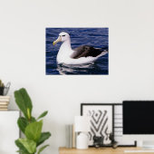 Albatross Poster (Heimbüro)