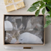 Albatross with a chick seidenpapier (Geschenk)