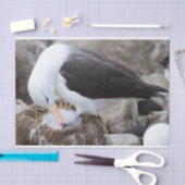 Albatross with a chick seidenpapier (Handwerk)