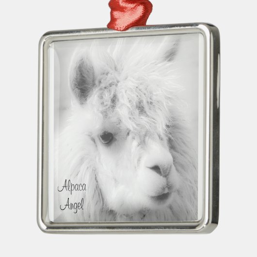 Albergo San Giorgio Silbernes Ornament (Links)