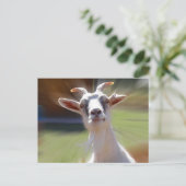 Albern BillyGoat-Foto Postkarte (Stehend Vorderseite)